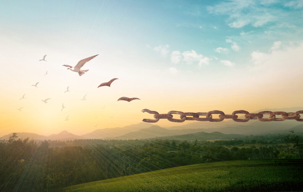 [IMAGE] Breaking the Chains of Problem Gambling: How False Beliefs Lead to Repeated Mistakes